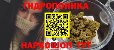 2c-b Гусиноозёрск