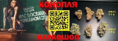 СК Камень-на-Оби