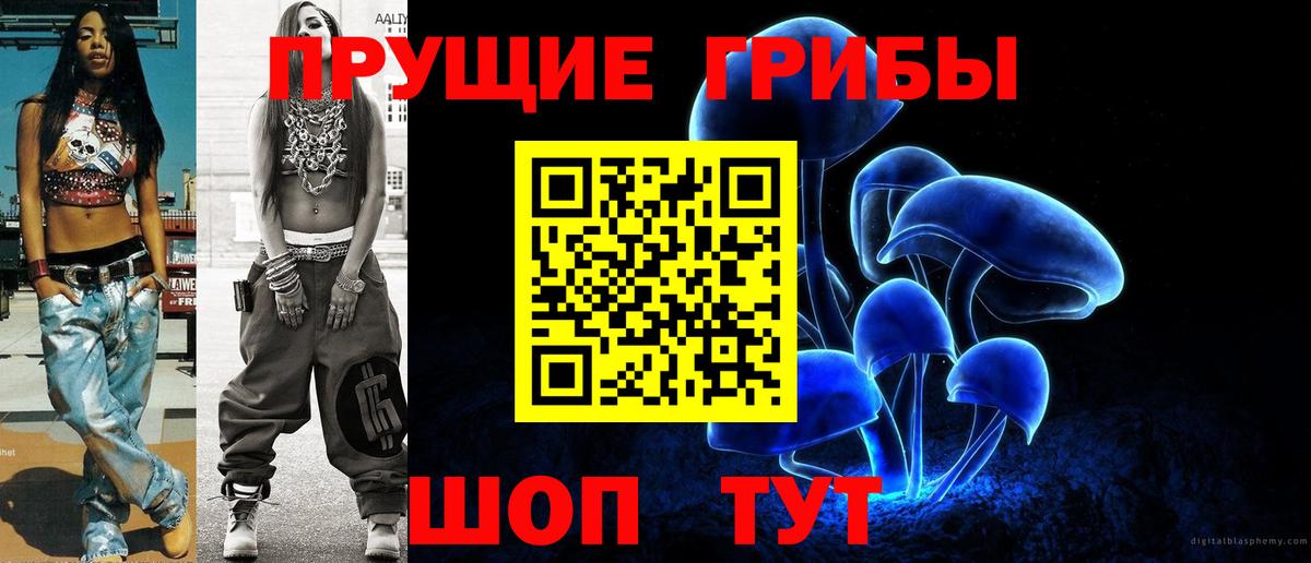 Псилоцибиновые грибы Psilocybine cubensis Качканар