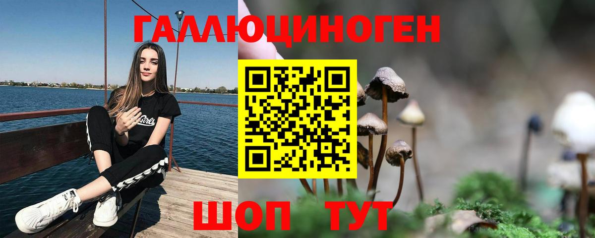 Псилоцибиновые грибы мицелий  Вход с VPN  Качканар 